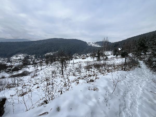  - фото нерухомості